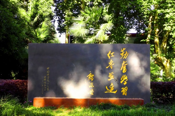 /uploads/image/2025/07/09/9bebaf11a464b1cd894cd0bc2bd542a7.jpg 50AE48EAD217455DDE4780617D0_AAC64392_C3D37(1).jpg