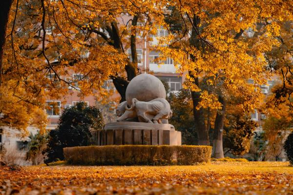 /uploads/image/2025/07/09/4c2410cbfb823aac85f83c5b2ad01560.jpg ACC31B88D9DE94B6EFA395B435A_A5BFEEB0_AB871(1).jpg