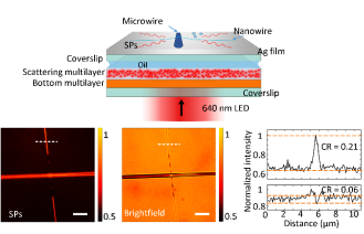 /uploads/image/2021/11/27/547c104bb5e217de0e8ee93cea9a38ae.png /uploads/image/2021/11/27/547c104bb5e217de0e8ee93cea9a38ae.png