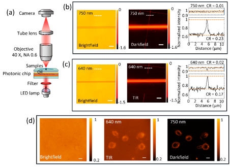 /uploads/image/2021/11/27/7ffab84380acb8313df8163ad0174a8b.png /uploads/image/2021/11/27/7ffab84380acb8313df8163ad0174a8b.png