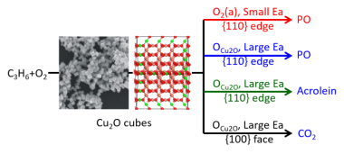 /uploads/image/2021/10/28/0458efd37d8967ad3df95dd1f94cc4ae.jpg /uploads/image/2021/10/28/0458efd37d8967ad3df95dd1f94cc4ae.jpg