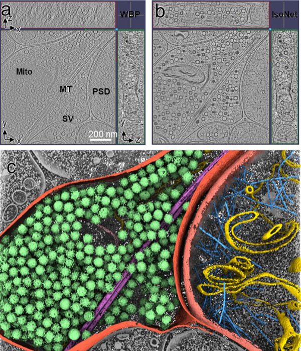 /uploads/image/2022/11/05/44d91d0b678e54fc47f821d3203008fd.jpg 2.jpg