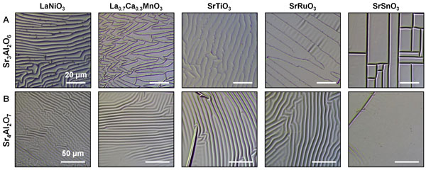 /uploads/image/2024/01/26/f644ef784970021ded5782cd34af0d9f.jpg 3.jpg