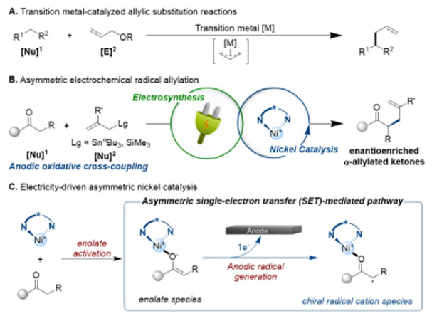 /uploads/image/2022/11/15/087920180a4e966db30d364dacdee42d.jpg 2.jpg