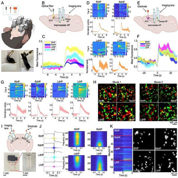 /uploads/image/2024/02/04/6652a00b3f9fe422a721b2f84046831e.jpg 3.jpg