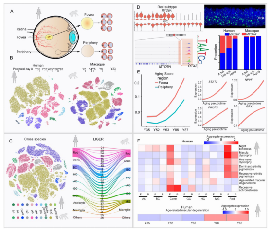 /uploads/image/2020/08/27/130c50c068f168c3ba5e30ad11989eed.png /uploads/image/2020/08/27/130c50c068f168c3ba5e30ad11989eed.png