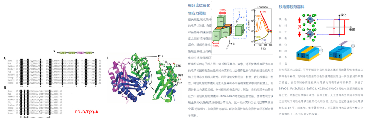 /uploads/image/2020/10/02/b372b327cedb5b68115645acc1f40c10.jpg /uploads/image/2020/10/02/b372b327cedb5b68115645acc1f40c10.jpg