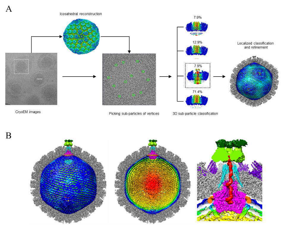 /uploads/image/2019/05/30/1bdb066796d0eaa921c2cbbac2ec5bbf.png /uploads/image/2019/05/30/1bdb066796d0eaa921c2cbbac2ec5bbf.png