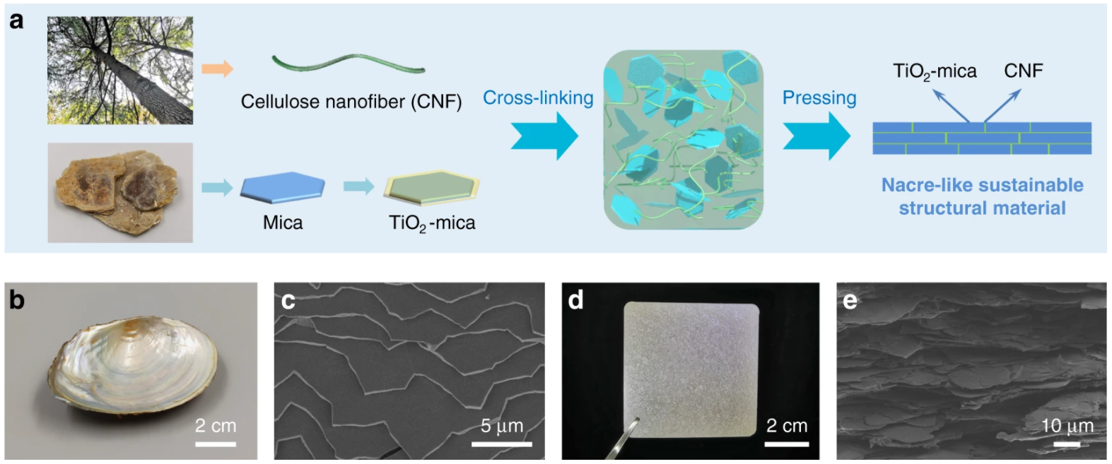 /uploads/image/2020/11/09/7404d62fcde8d5ea28013f0f758a3ff0.png /uploads/image/2020/11/09/7404d62fcde8d5ea28013f0f758a3ff0.png