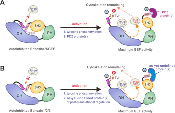 /uploads/image/2021/02/19/b437798902e1c643c2dbf614561a433d.jpg 2-2.jpg