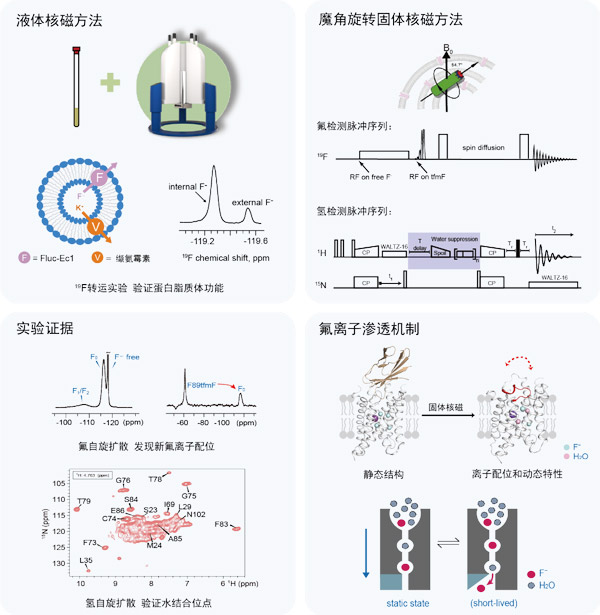 /uploads/image/2023/09/01/06a29f8c66d3ceceb281dc86172aaf59.jpg 2.jpg