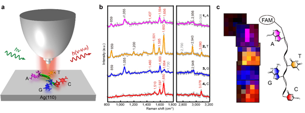 /uploads/image/2024/12/04/5014942b1910615ca90864b8ce03b3e1.jpg 1.jpg