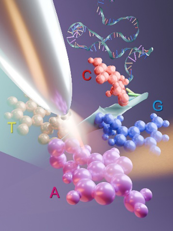 /uploads/image/2024/12/04/48742eca76ae49dcd64adf8561ccef1e.jpg 2.jpg