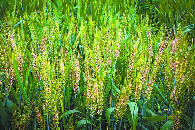 /uploads/image/2021/01/21/c50ce73e0d5a7c23dea76de29da15105.jpg 6.jpg