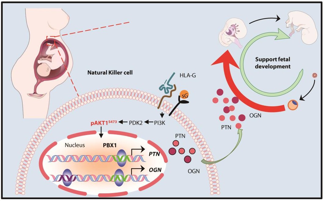 /uploads/image/2020/04/03/e387f98484fa343fbaff07a4853eb958.jpg /uploads/image/2020/04/03/e387f98484fa343fbaff07a4853eb958.jpg