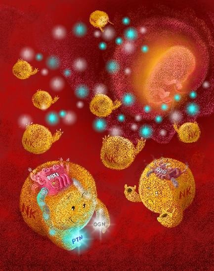 /uploads/image/2020/04/03/3e4b71eebaedca846c5ec93b4236ac62.jpg /uploads/image/2020/04/03/3e4b71eebaedca846c5ec93b4236ac62.jpg