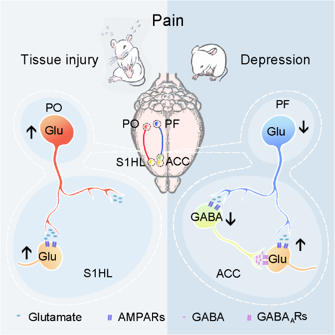 /uploads/image/2021/03/09/da103e1a2ad94b1783e057b74e6bd12d.png /uploads/image/2021/03/09/da103e1a2ad94b1783e057b74e6bd12d.png