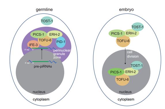 /uploads/image/2019/06/24/76aee6875d0a44e1bd7dfea6a4f7e091.jpg /uploads/image/2019/06/24/76aee6875d0a44e1bd7dfea6a4f7e091.jpg