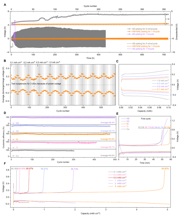 /uploads/image/2024/02/02/5862a96d8a69456eb62fd5409055434f.jpg 3.jpg
