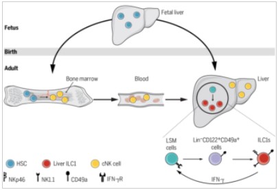 /uploads/image/2021/03/31/3abe9fd8e2d4978a678b2d3d5909554e.jpg /uploads/image/2021/03/31/3abe9fd8e2d4978a678b2d3d5909554e.jpg