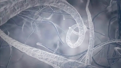 /uploads/image/2022/01/17/92013e5937b812e8920409fbcad63ebd.jpg /uploads/image/2022/01/17/92013e5937b812e8920409fbcad63ebd.jpg