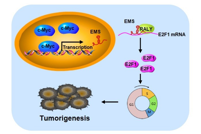 /uploads/image/2019/07/03/4b0ff1a8079422e6e7ec2642923f3928.jpg /uploads/image/2019/07/03/4b0ff1a8079422e6e7ec2642923f3928.jpg