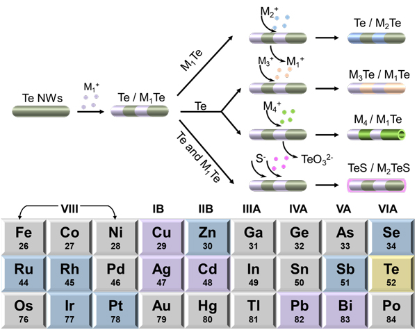 /uploads/image/2024/05/08/a5bbf498e36e4d35ae01a2c463fee0fc.jpg 2.jpg