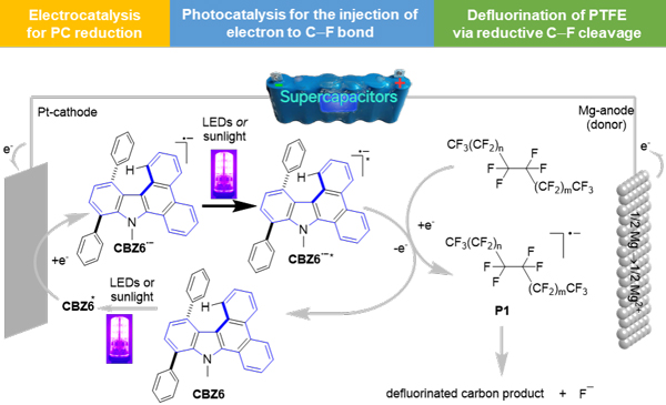 /uploads/image/2025/03/21/f3231e72c2793976486c4df24029ef64.jpg 1.jpg