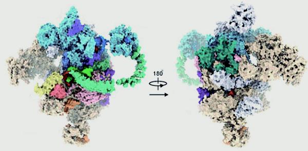 /uploads/image/2021/01/29/c6154e3432b37e99b2b28bac9cb87b61.jpg 1.jpg