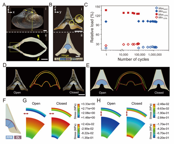 /uploads/image/2023/06/23/3c1e954e2bdae6eb8ba8a834df2ae8a8.jpg 1.jpg
