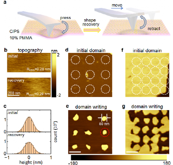 /uploads/image/2024/05/31/24103582f3159fb73e6e8b826b869153.jpg 2.jpg