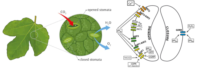 /uploads/image/2020/09/11/ffe08e31738e99ef727d0790195d3e64.png /uploads/image/2020/09/11/ffe08e31738e99ef727d0790195d3e64.png