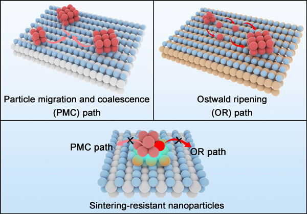 /uploads/image/2025/03/11/c95accdb64b85ca79ad7d897663b541e.jpg 1.jpg