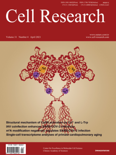 /uploads/image/2021/04/12/b8107ea54f4f9e20ffe71206b29159ac.png /uploads/image/2021/04/12/b8107ea54f4f9e20ffe71206b29159ac.png