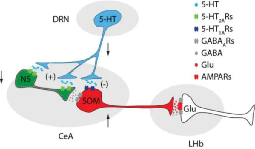 /uploads/image/2019/08/30/0f94912177ff29317477521d09ab8957.jpg /uploads/image/2019/08/30/0f94912177ff29317477521d09ab8957.jpg