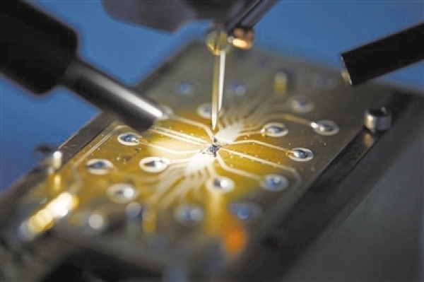 /uploads/image/2021/08/17/adfc93e7d8ddb3662442886a5423602f.jpg W020210817495595158054.jpg