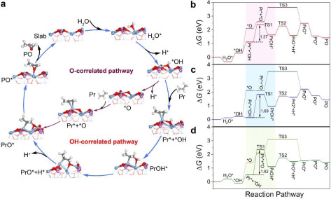/uploads/image/2022/03/01/f82761179c4755d8ecfbabaf6b5fb4a8.jpg /uploads/image/2022/03/01/f82761179c4755d8ecfbabaf6b5fb4a8.jpg