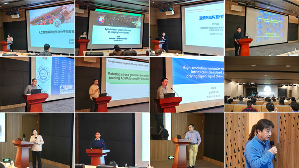 /uploads/image/2024/01/23/ad30349932fce12e3667e8bd6df88657.jpg 3.jpg