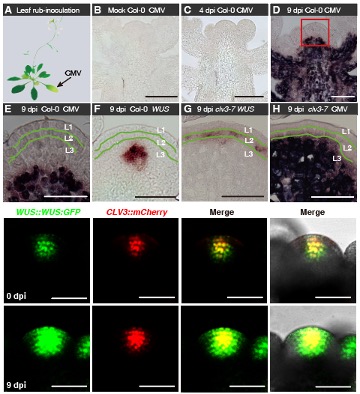 /uploads/image/2020/10/09/43758f1c004d1908cd9c4971dc42806b.jpg /uploads/image/2020/10/09/43758f1c004d1908cd9c4971dc42806b.jpg