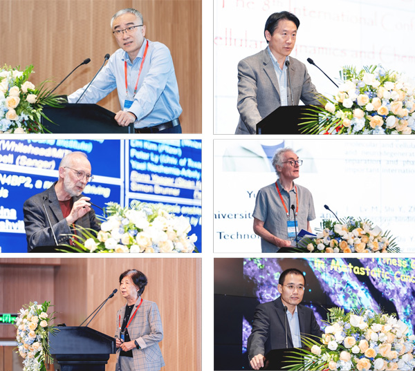 /uploads/image/2023/11/06/a119b15d3ff70348cc28631aeffa0496.jpg 2.jpg