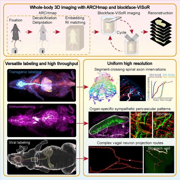 /uploads/image/2025/07/15/1a0c6d2d13d8664a1b48066602482e0e.jpg 803AEE61AD1A964F345C4D28F00_D7FE28C5_4EA2F(1).jpg