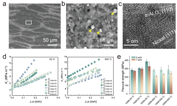 /uploads/image/2025/03/06/21838632948e782b04a21f4b7a90131d.jpg 2.jpg
