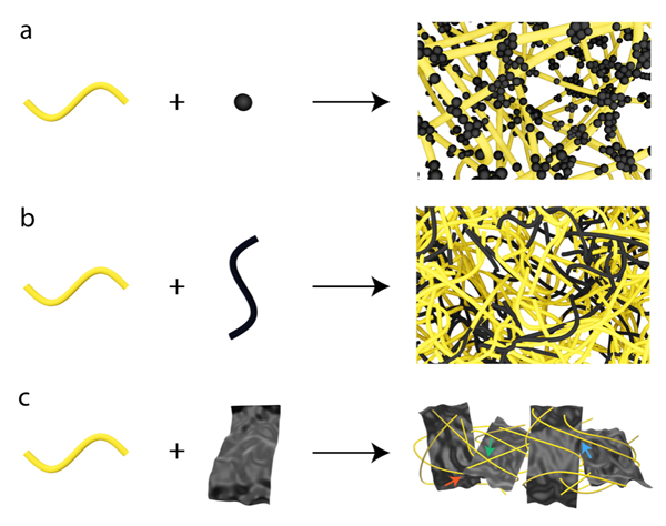 /uploads/image/2024/12/04/861d89d9f7fc260911497af46a07157e.jpg 1.jpg