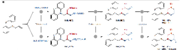 /uploads/image/2023/08/25/c7951e2c31ce66dd5ca2892aa0c30f82.jpg 3.jpg