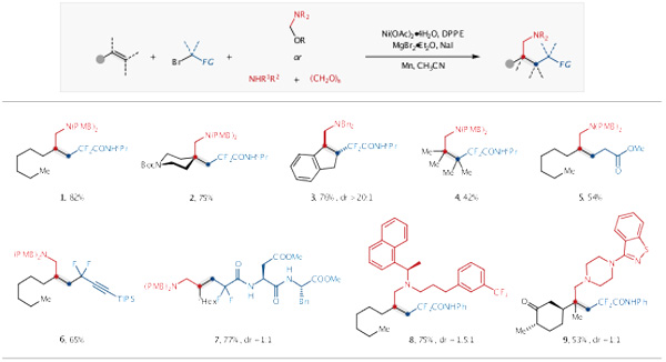 /uploads/image/2023/08/25/deb788b0d972a00e4b5198cbedbca83a.jpg 2.jpg