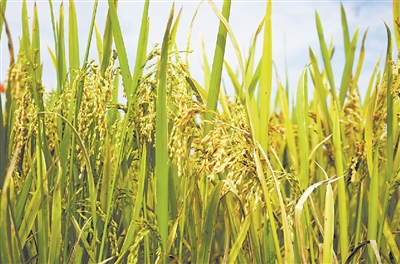 /uploads/image/2024/12/25/039880557110573433c578d7c3230635.jpg 2.jpg