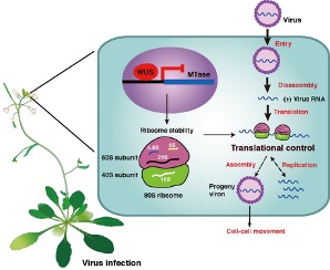 /uploads/image/2020/10/09/c3618c12a42e80d6049a92ee841c1d4c.jpg /uploads/image/2020/10/09/c3618c12a42e80d6049a92ee841c1d4c.jpg