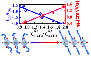 /uploads/image/2020/11/12/88b16cfc4ba1f508ff35e5a9d73810c4.png /uploads/image/2020/11/12/88b16cfc4ba1f508ff35e5a9d73810c4.png