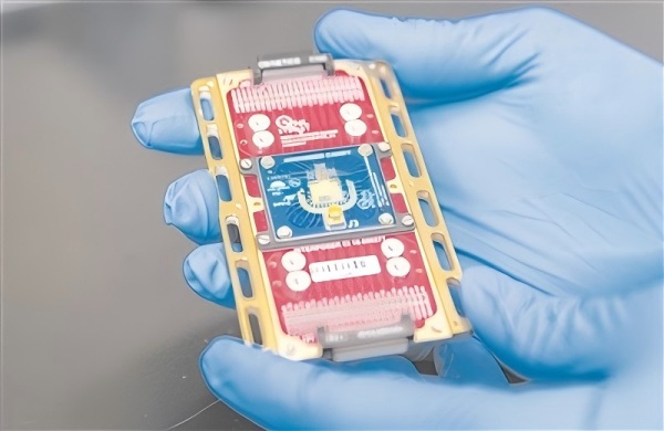 /uploads/image/2025/07/08/796656ad7468cd7ba5a0f5067fcda1be.jpg W020250630333659562604_ORIGIN(1).jpg