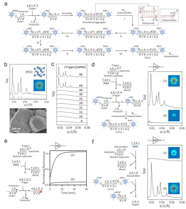 /uploads/image/2024/10/28/ba5a987baa7db8112f1e4fbeb1c5efcc.jpg 1.jpg